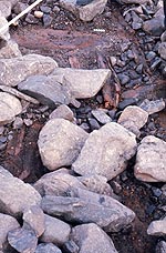 loch-awe-VI-3-s.jpg - 16072 Bytes